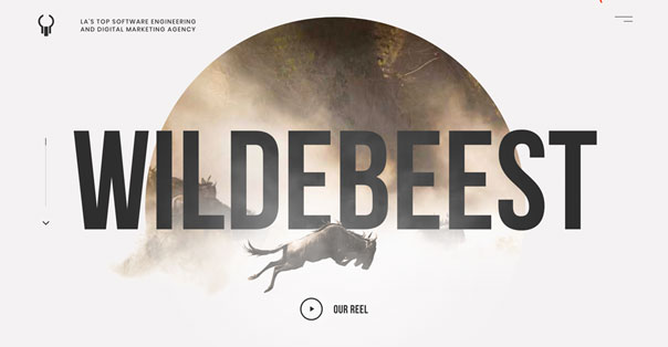 Wildebeest -let’s get wild!