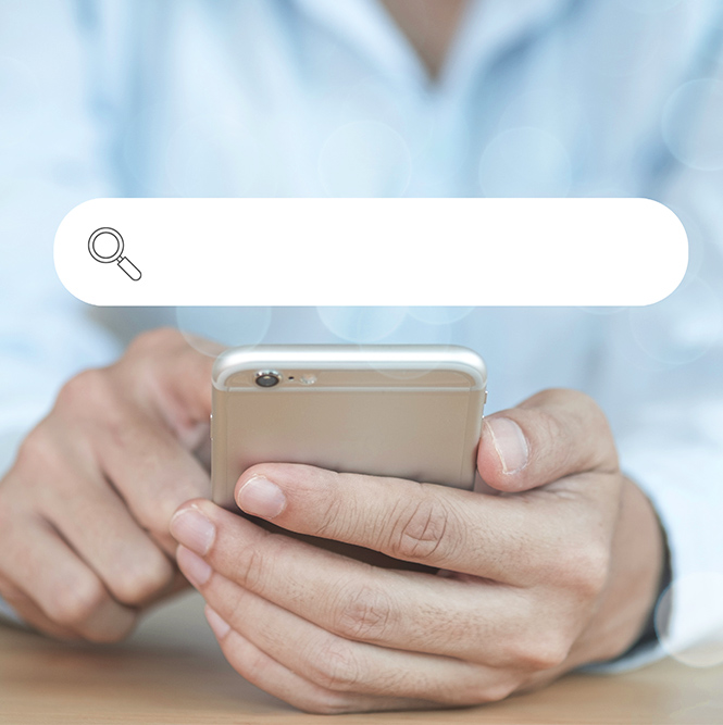 SEO-Beratung-Seiten-Werk