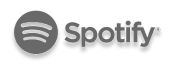 spotify icon