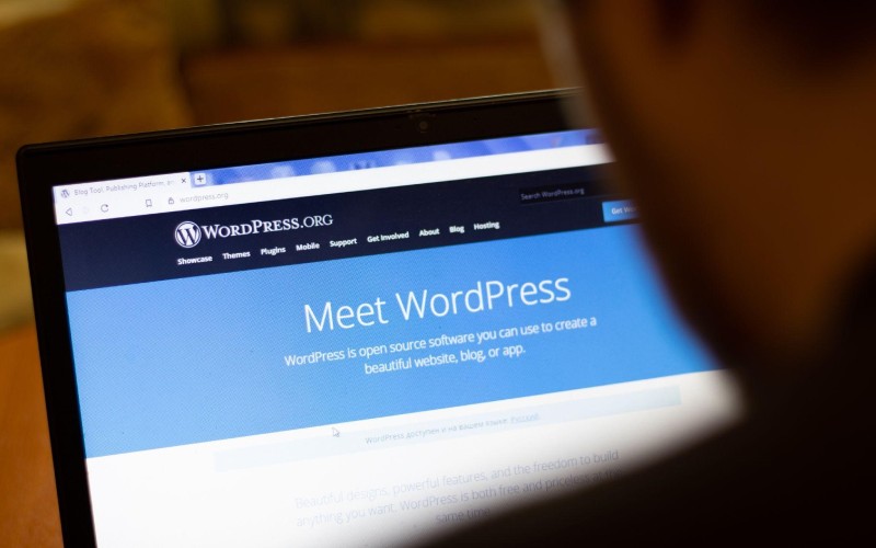Meet WordPress